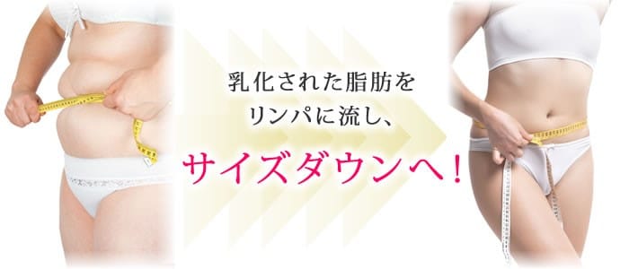 乳化された細胞をリンパに流し、サイズダウンへ！